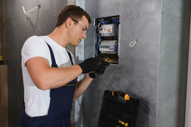 Best Ceiling Fan Installation Electrician  in Greenvle, IL