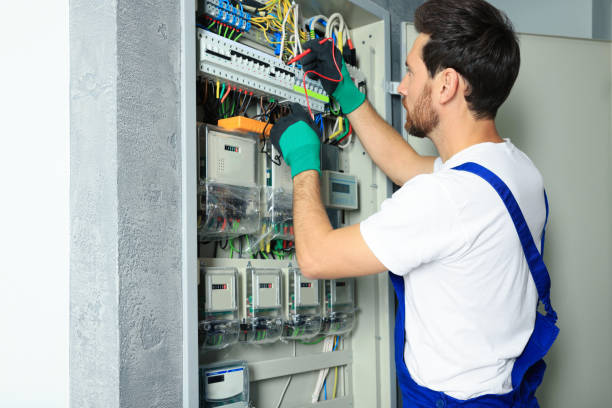 Best Electrical Repair Services  in Greenvle, IL