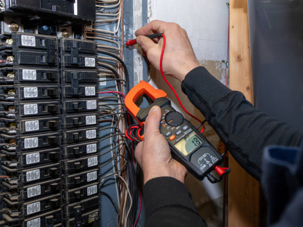 Best Electrical System Inspection  in Greenvle, IL
